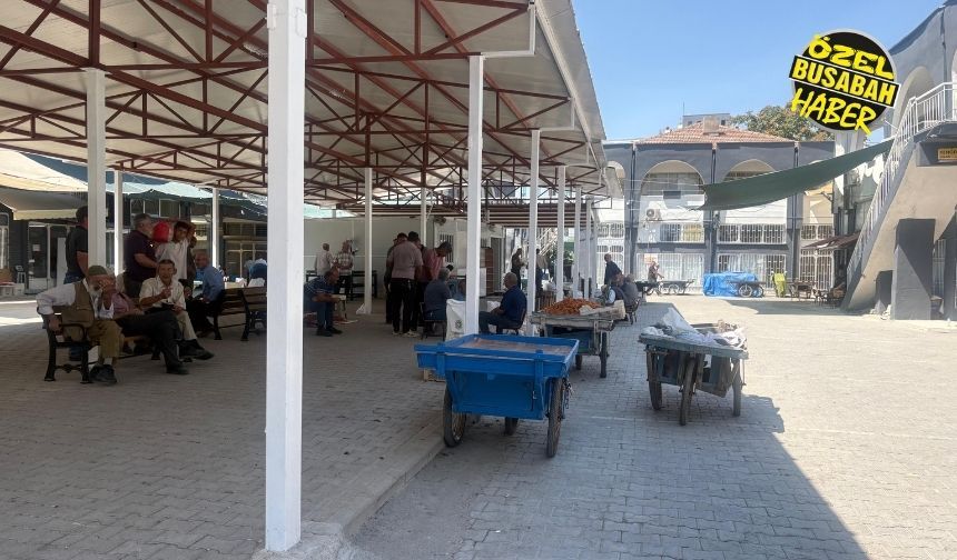 Şire Pazarı’nda kayısı fiyatları neden düşüyor? Esnaf 1 Ağustos’u işaret etti!