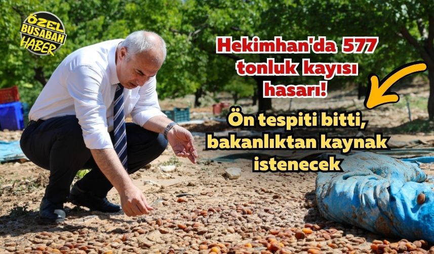 Hekimhan