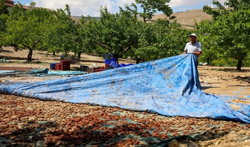 Hekimhan’da Sel Sonrası Dikkat Çeken Soru Ak Parti Ekibi Neden 3 Gün Sonra Geldi (1)