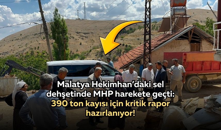 Siyaset