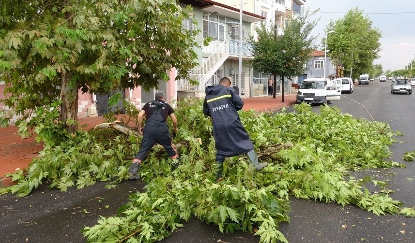 Malatya’da Bir Anda Bastırdı! Ağaçlar Devrildi, Camlar Kırıldı (2)
