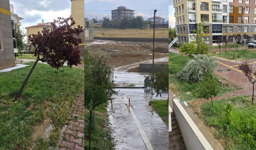 Malatya’da Bir Anda Bastırdı! Ağaçlar Devrildi, Camlar Kırıldı (5)