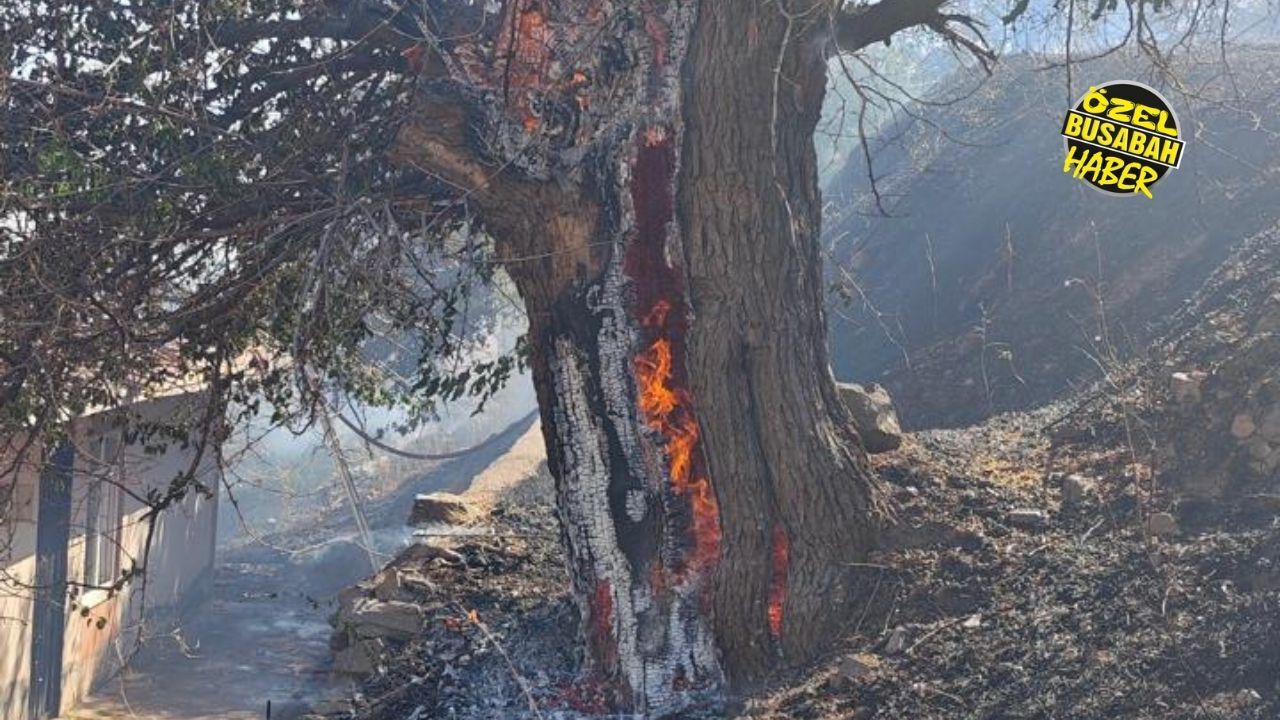 Malatya'da Yangınların Perde Arkası İtfaiye Daire Başkanı En Büyük Hatayı Açıkladı (5)