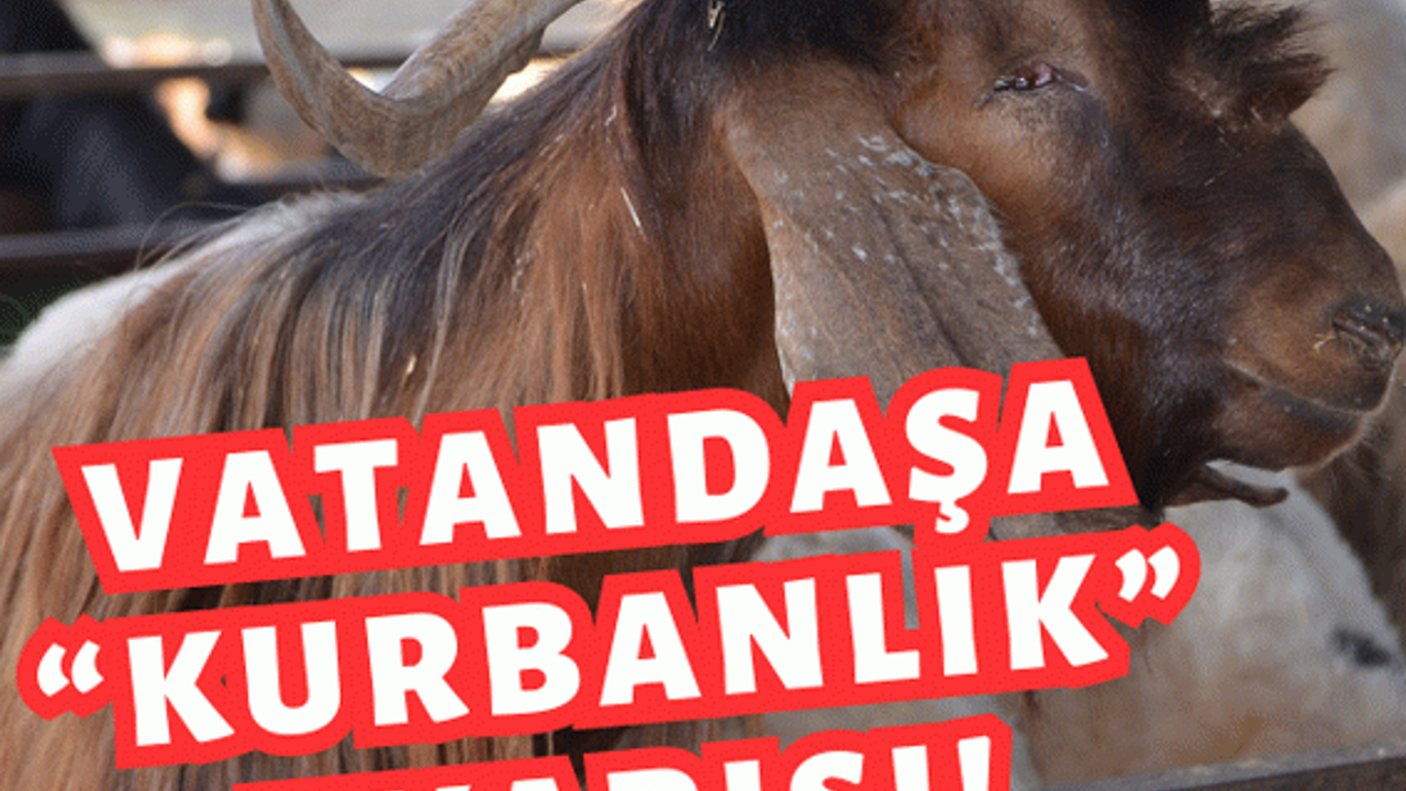 Vatandaşa “kurbanlık” uyarısı!