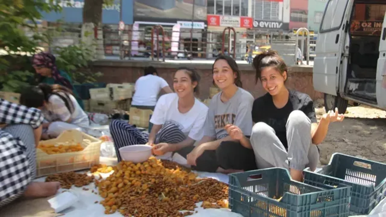 Kayısı hasadı yapıldı Malatyalılar için patik sezonu başladı