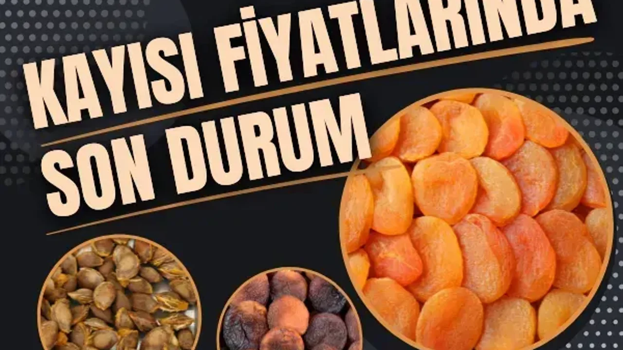 Kayısı fiyatlarında son durum