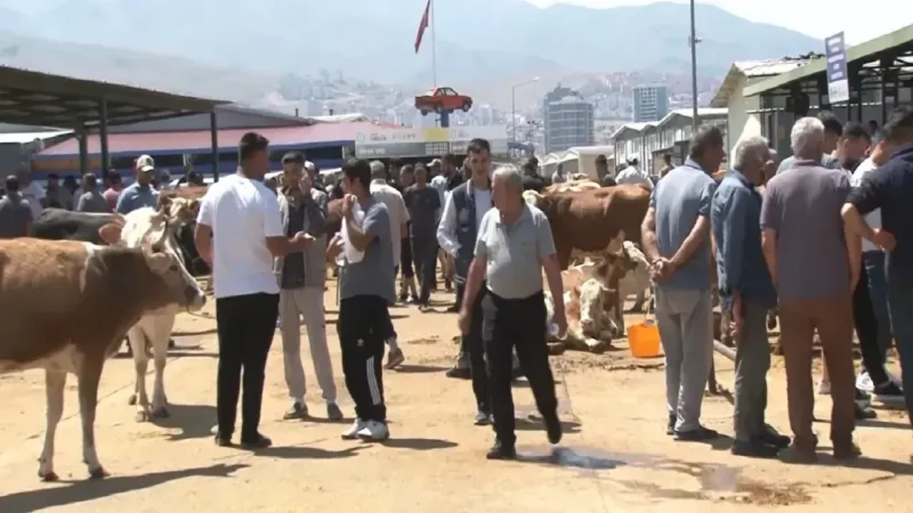 Canlı Hayvan Pazarı'nda bayram yoğunluğu