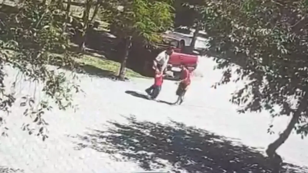 Bitlis’te başıboş köpek kâbusu: Küçük kız son anda kurtarıldı