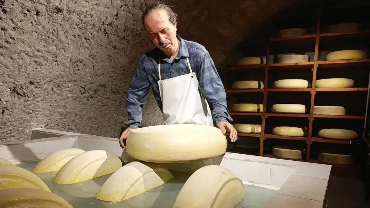 Türkiye’nin ilk tematik peynir müzesi ziyaretçi akınına uğradı