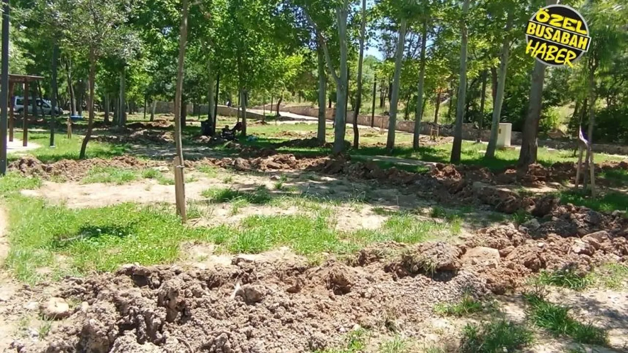 Orduzu Pınarbaşı'nda vatandaşın piknik isyanı: Yaz