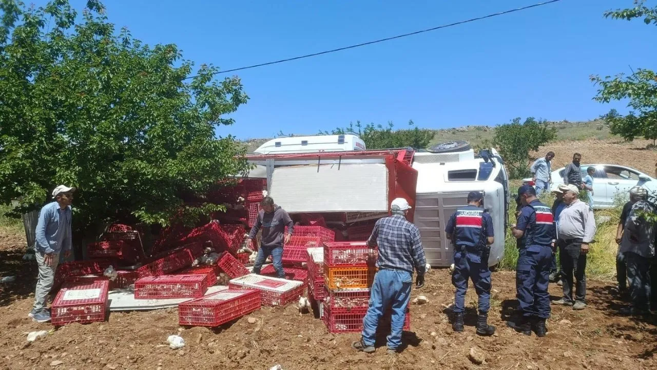 Yeşilyurt’ta canlı tavuk yüklü kamyon devrildi: Çok sayıda t