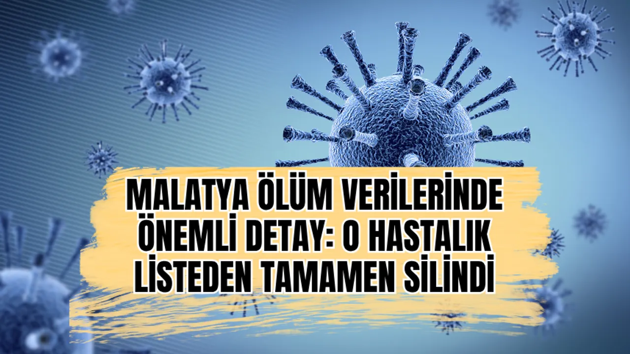 Malatya ölüm verilerinde önemli detay: O hastalık listeden tamamen silindi