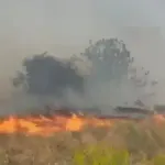 Doğanyol’da bahçede çıkan yangın söndürüldü