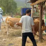 Karabük’te orman yangını: 80 haneli köy tahliye edildi