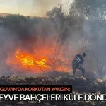 Arguvan’da korkutan yangın: Meyve bahçeleri küle döndü