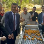 Malatya’da Kayısı Çekirdeği Çıkarma Makinesi geliştirildi! 16 kişinin işini yapıyor