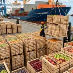 Çiftçilere 688 milyon liralık tarımsal destek: Ödemeler hesaplara yatıyor