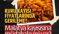 Kuru kayısı fiyatlarında gerileme! Malatya kayısısına müdahale mi var?