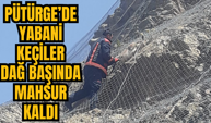 Pütürge’de yabani keçiler dağ başında mahsur kaldı