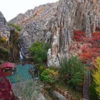 Yaşam