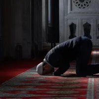 Yaşam
