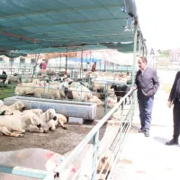 Malatya