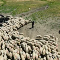 Yaşam