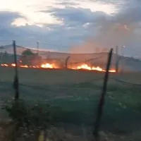 Malatya
