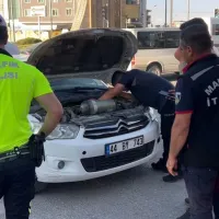 Malatya