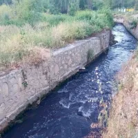 Yaşam