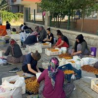 Yaşam