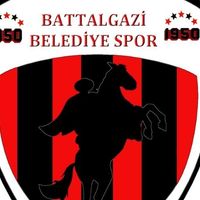Spor