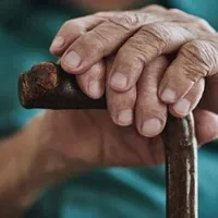 Yaşam
