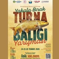 Yaşam