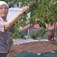 Yaşam