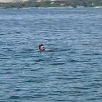 Yaşam