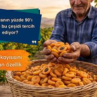 Malatya