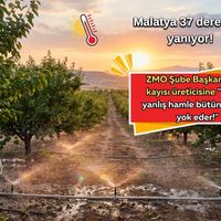 Malatya