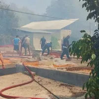 Asayiş