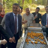 Malatya