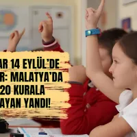 Eğitim
