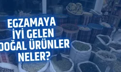 Egzamaya iyi gelen doğal ürünler neler?