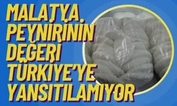 Malatya peynirinin değeri Türkiye’ye yansıtılamıyor      