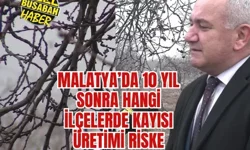 Malatya’da 10 yıl sonra hangi ilçelerde kayısı üretimi riske girecek?
