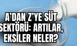 A’dan z’ye süt sektörü: Artılar, eksiler neler?