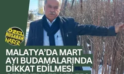 Malatya’da mart ayı budamalarında dikkat edilmesi gerekenler neler?
