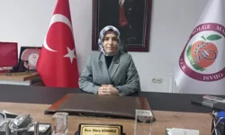 Savunma sanayisindeki başarı ilaç sektöründe de bekleniyor