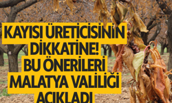 Kayısı üreticisinin dikkatine! Bu önerileri Malatya Valiliği açıkladı