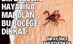 Bir bebeğin hayatına mal olan bu böceğe dikkat! Bir ay önce Malatya’da da görüldü! 