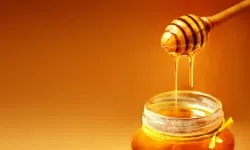 Yaz alerjisine ne iyi gelir? Doğal yöntemlerle rahat bir yaz geçirmenin yolları